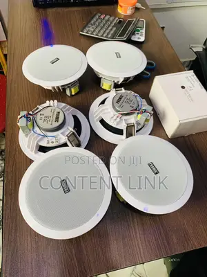 6in1 50watts Passive Ceiling/Poo Speakers