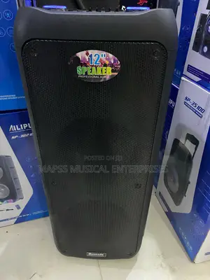 Meirende 12-Inch Professional Bluetooth Audio Speaker