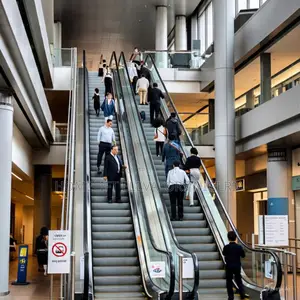 Escalators in Reducing Elevator Wait Times