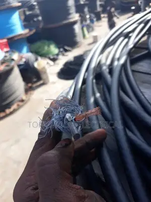 2.5mm 2pair Wire