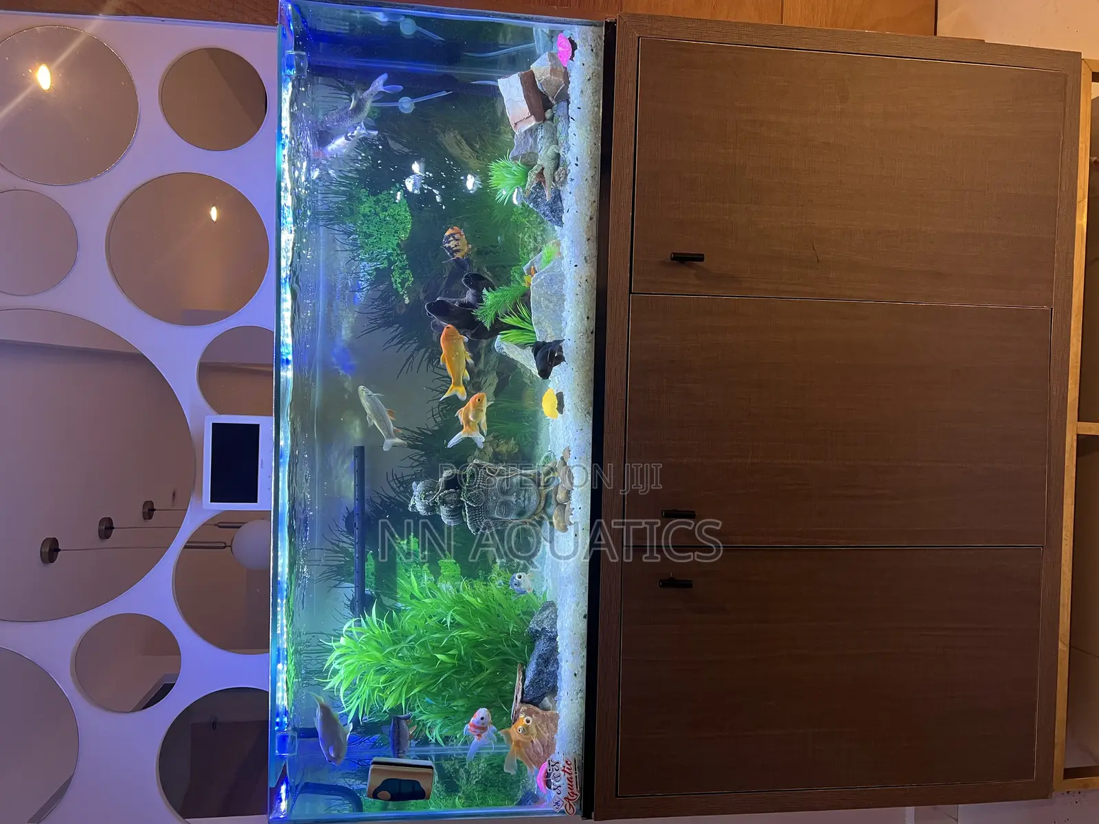 Aquarium With Stand