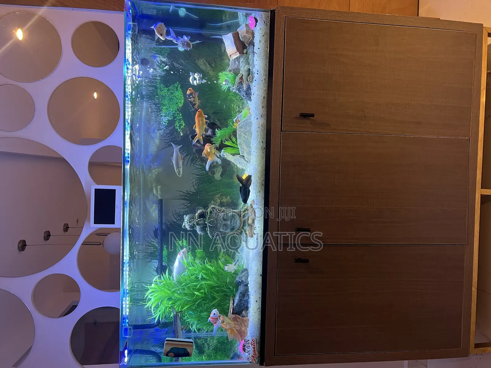 Aquarium With Stand