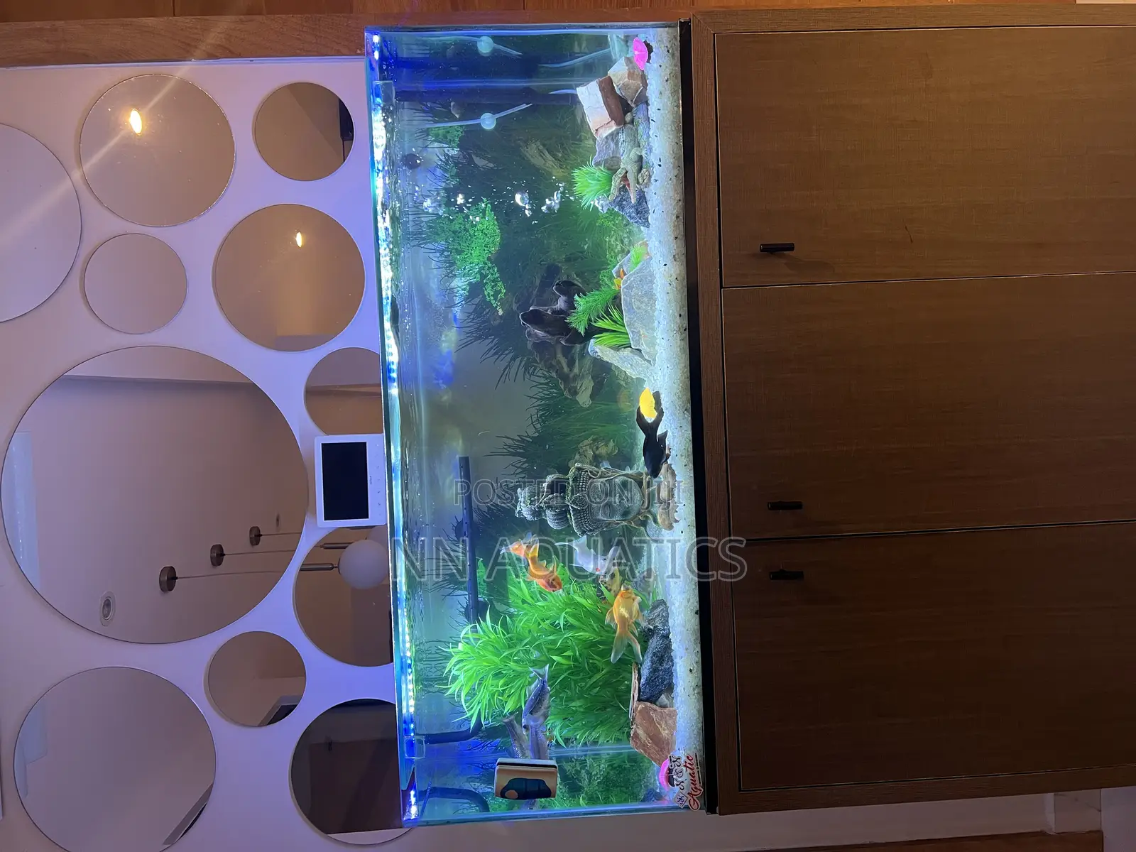 Aquarium With Stand