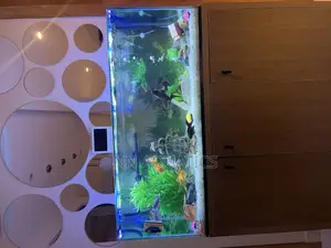Aquarium With Stand