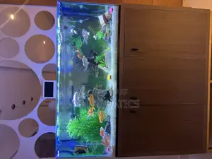 Aquarium With Stand
