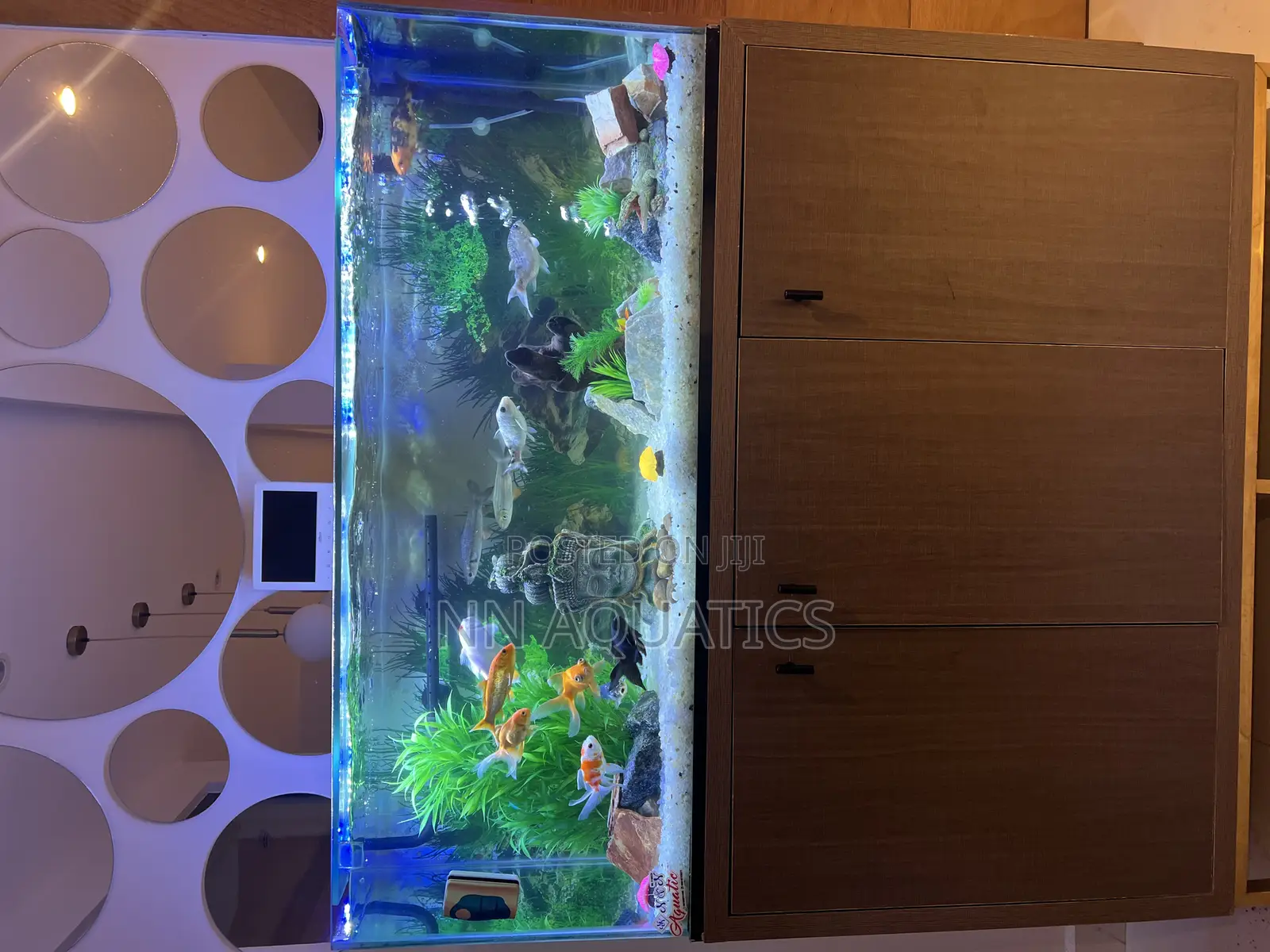 Aquarium With Stand