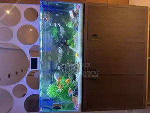 Aquarium With Stand
