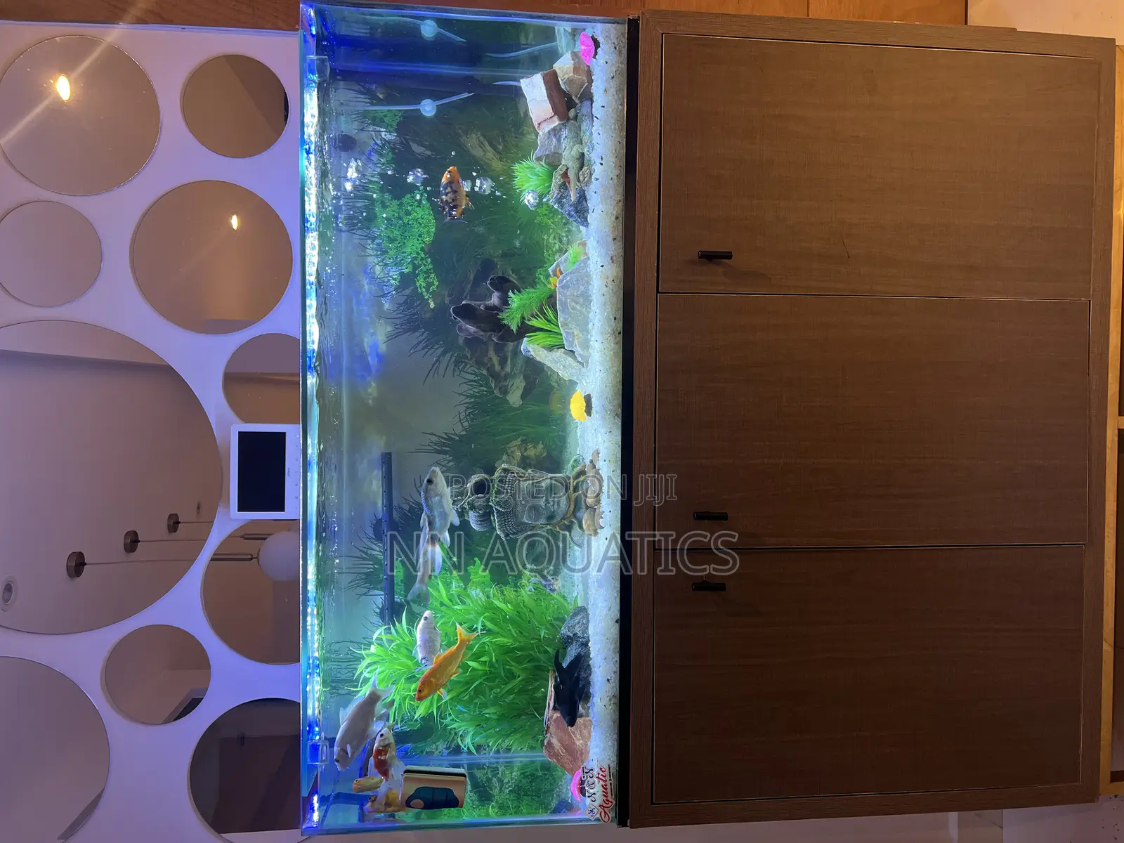 Aquarium With Stand