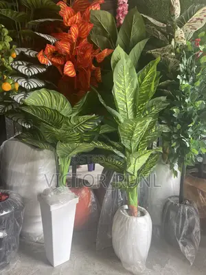 Victor_rdnl Flower and Plant World