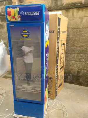 400l Snowsea Lc400w Chiller