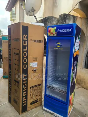 Snowsea Lc400w – 400l for Food Beverage Cooling