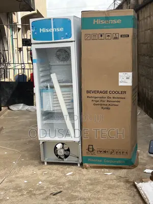 Hisense Fl30fc – 222l Chiller for Drinks