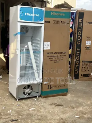 Hisense Fl30fc – Chiller for Shop or Store Use (222l)