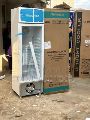 Hisense Fl30fc Chiller for Supermarkets – 222l
