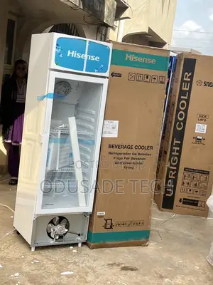 Hisense Fl30fc – Cold Drinks, Always Ready (222l)