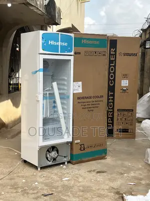 Hisense Fl30fc Chiller – For Grocery Drinks (222l)