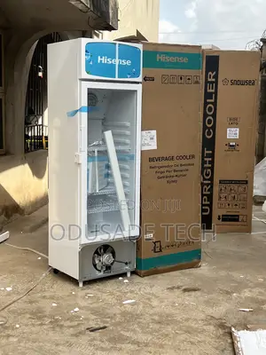Hisense Fl30fc Chiller – 222l for Small Business