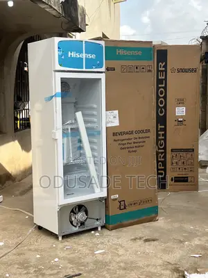 Hisense Fl30fc – 222l Commercial Chiller for Beverages