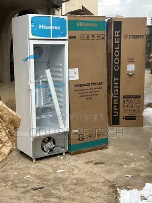 Hisense Fl30fc 222l Chiller – Energy Efficient