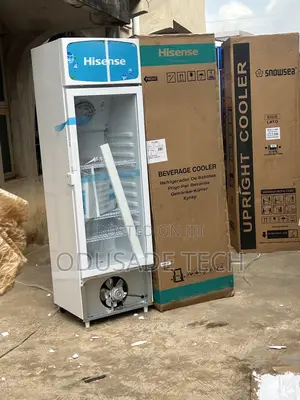 Hisense Fl30fc Chiller – 222l With Led Light