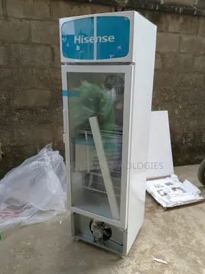 Fast Cooling Hisense Fl 30 Fc Refrigerator-Commercial Use