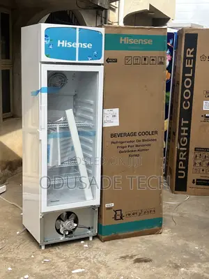 Hisense Fl30fc – Display More With 222l Capacity