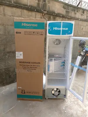 Neat Hisense Fl 30-Fc Refrigerator-Organized Display