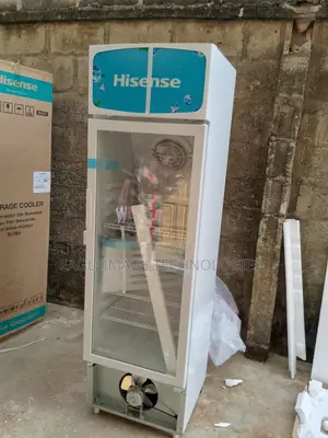 Advanced Hisense Fl 30-Fc Refrigerator-Smart Cooling