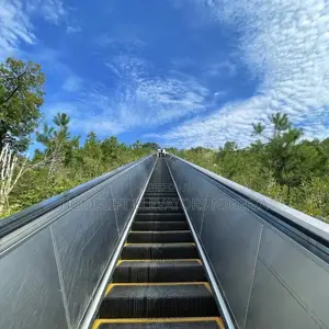 Modern Residential Escalator