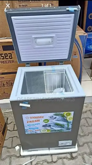 Snowsea Horizontal Freezer