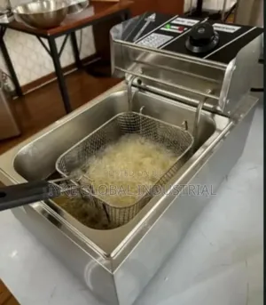 Single Electric Fryer