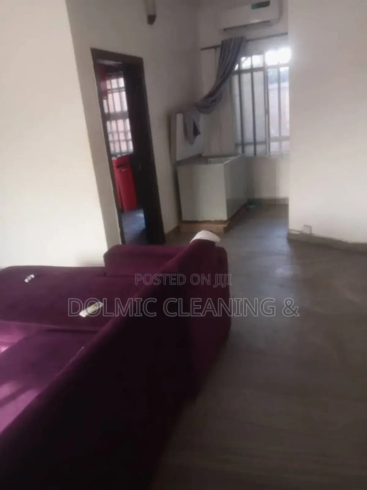 Cleaning Pro