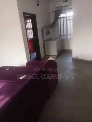 Cleaning Pro