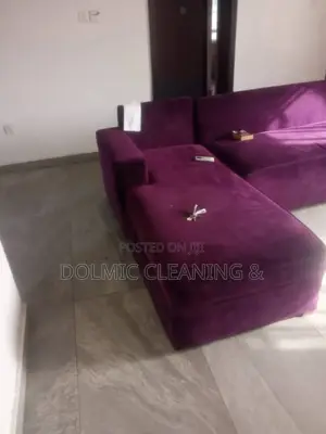 Cleaning Pro