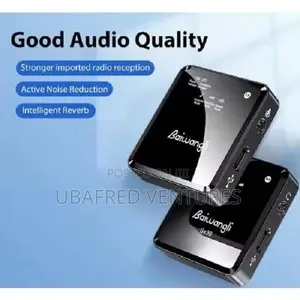 Baiwangli Sx39 Wireless Microphone System Collar Clip