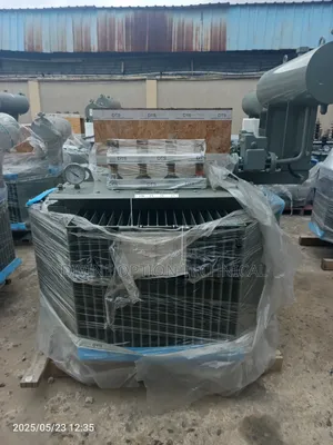 Astor 750kva 33kv/400v Distribution Transformer