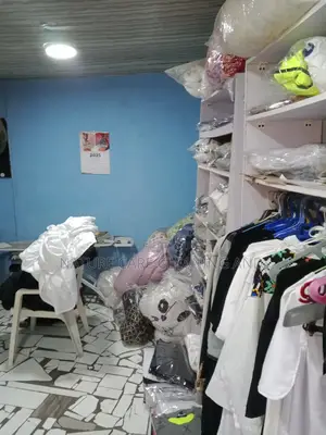 Professional Laundry for You