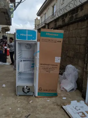 Professional Hisense Fl 30-Fc Refrigerator-for Busines