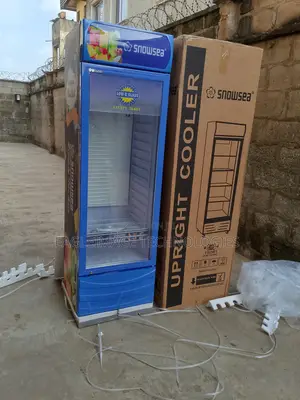 Reliable Snowsea Lc-400w Chiller-Steady Performance