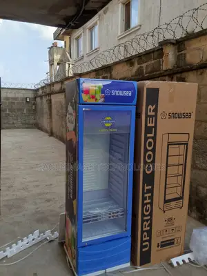 Affordable Snowsea Lc-400w Chiller-Budget- Friendly Pick