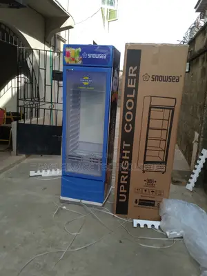 Fast-Cooling Snowsea Lc-400w Chiller- Quick Refresh