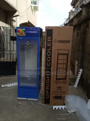 Energy-Saving Snowsea Lc-400w Refrigerator-Reduce Bills