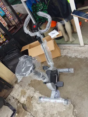 Magnetic Bike