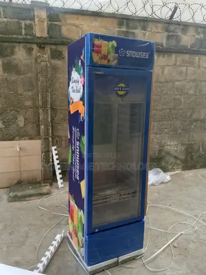 Strong Snowsea Lc-400w Refrigerator-Heavy Duty Motor