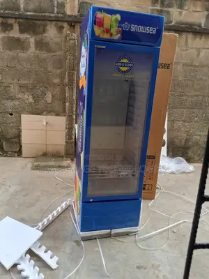 Long Lasting Snowsea Lc-400w Refrigerator-Business Friendly