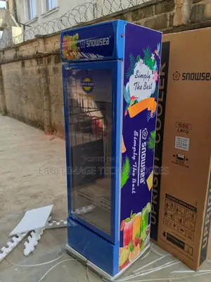 High-Capacity Snowsea Lc-400w Refrigerator-More Space