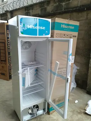 Bright Interior Hisense Fl 30-Fc Refrigerator-Led Lighting