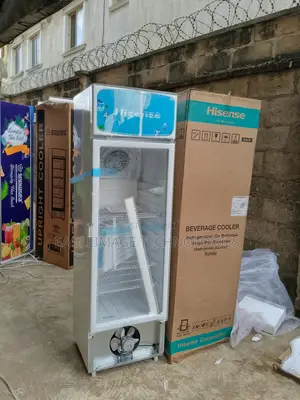 Cost-Effective Hisense Fl 30-Fc Refrigerator- Energy Saver