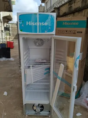 Convenient Hisense Fl 30-Fc Refrigerator- Easy Access
