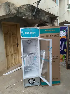Perfect-Size Hisense Fl 30-Fc Refrigerator-22l Storage